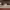 https://res.cloudinary.com/billionhands/image/upload/v1770830388/items/qah5mvvsnuo8rgrrk6ex.webp-0cover