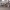 https://res.cloudinary.com/billionhands/image/upload/v1770830411/items/ihrsulff7x7smvoznlzh.jpg-0cover