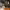 https://res.cloudinary.com/billionhands/image/upload/v1770830422/items/bakzceglafxqnghsmdmq.jpg-2cover
