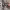 https://res.cloudinary.com/billionhands/image/upload/v1770830430/items/v2wdnwespp8jpogz6jcy.webp-2cover