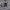 https://res.cloudinary.com/billionhands/image/upload/v1770830494/items/fu8sdailnuvb85pskrfn.jpg-3cover