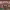 https://res.cloudinary.com/billionhands/image/upload/v1770830526/items/vev48gxhlrtwwe0iqbrv.avif-1cover