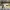 https://res.cloudinary.com/billionhands/image/upload/v1770830536/items/xib2ppkijgpi3iqiwwtw.jpg-3cover
