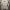https://res.cloudinary.com/billionhands/image/upload/v1770830542/items/djwubbncanwuqmocigdv.jpg-2cover