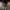 https://res.cloudinary.com/billionhands/image/upload/v1770830561/items/nsgjoyr6kl1zhgdzgr6u.webp-3cover