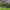 https://res.cloudinary.com/billionhands/image/upload/v1770830578/items/pl4ok4m9reul2unooemx.jpg-3cover