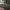 https://res.cloudinary.com/billionhands/image/upload/v1770830589/items/zjkfsncho9gjwtzugglq.png-1cover