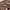 https://res.cloudinary.com/billionhands/image/upload/v1770830621/items/nncfhmj3wpnurztldxgu.jpg-1cover