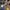 https://res.cloudinary.com/billionhands/image/upload/v1770830633/items/r4gywnms8k7gdpdc6dpe.jpg-2cover