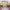 https://res.cloudinary.com/billionhands/image/upload/v1770830633/items/xbcjjsvieoh4ogcujbdh.jpg-3cover