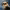 https://res.cloudinary.com/billionhands/image/upload/v1770830636/items/abxvvu0qxi0s1xxrloz5.jpg-3cover