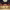 https://res.cloudinary.com/billionhands/image/upload/v1770830643/items/ydrt0vmwiwyzae5bj251.jpg-1cover