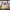 https://res.cloudinary.com/billionhands/image/upload/v1770830655/items/im15segcncmdqkeujosf.jpg-3cover