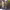 https://res.cloudinary.com/billionhands/image/upload/v1770830682/items/skihf2lngab3mwiwvvhp.jpg-0cover