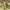 https://res.cloudinary.com/billionhands/image/upload/v1770830684/items/tw2cmqsieq8m2hnt8ehm.jpg-3cover