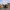 https://res.cloudinary.com/billionhands/image/upload/v1770830685/items/mhfg0urpoy9jjg5m1xh4.webp-2cover