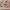 https://res.cloudinary.com/billionhands/image/upload/v1770830760/items/e2owpva5qhedj3idpoyg.jpg-3cover