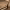 https://res.cloudinary.com/billionhands/image/upload/v1770830780/items/w15hdizotmbkqopbqi8c.jpg-2cover
