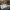https://res.cloudinary.com/billionhands/image/upload/v1770830808/items/dhja2bfctqrhnhkrjwiw.jpg-1cover