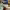 https://res.cloudinary.com/billionhands/image/upload/v1770830823/items/mccdiyqohfgfkrfi0vti.jpg-0cover