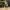 https://res.cloudinary.com/billionhands/image/upload/v1770830860/items/igfaueejm6j5qoxxy1j6.jpg-3cover