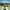 https://res.cloudinary.com/billionhands/image/upload/v1770830890/items/ebcagvhbdzj4vjzmncbb.jpg-0cover