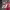 https://res.cloudinary.com/billionhands/image/upload/v1770830933/items/f1u5vuko5wprr11fhdam.jpg-1cover