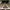 https://res.cloudinary.com/billionhands/image/upload/v1770830951/items/adrhwulvqqcml2xiwynk.jpg-2cover