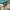 https://res.cloudinary.com/billionhands/image/upload/v1770830955/items/qnvulgaxpfyrkwyhtw5u.jpg-0cover
