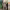https://res.cloudinary.com/billionhands/image/upload/v1770831007/items/fvahnllalo8qteeh74cr.webp-0cover