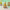 https://res.cloudinary.com/billionhands/image/upload/v1770831014/items/msxxoru0ptluwv8bsjc0.webp-2cover