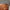 https://res.cloudinary.com/billionhands/image/upload/v1770831031/items/b9zd6jgj7h7taumi6fjg.jpg-0cover