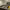 https://res.cloudinary.com/billionhands/image/upload/v1770831034/items/dsl9bsyiaawycc6e1apd.jpg-3cover