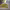 https://res.cloudinary.com/billionhands/image/upload/v1770831057/items/mtdcgiu5mf2jxggnypji.jpg-0cover