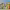 https://res.cloudinary.com/billionhands/image/upload/v1770831061/items/e4jfzvbohhjm5dtj0ekb.webp-2cover