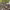 https://res.cloudinary.com/billionhands/image/upload/v1770831085/items/vzldtspvadjrsn7esdhk.jpg-1cover