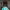 https://res.cloudinary.com/billionhands/image/upload/v1770831086/items/dbi0rgsfobxjffbgsrgr.jpg-2cover