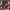 https://res.cloudinary.com/billionhands/image/upload/v1770831087/items/ugqavbe8dvgnhi2byv75.jpg-3cover