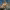 https://res.cloudinary.com/billionhands/image/upload/v1770831092/items/vnbb50iyjfcfdrqpbliy.webp-3cover