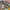 https://res.cloudinary.com/billionhands/image/upload/v1770831097/items/dhdf8czua8qgzt9s6tua.jpg-1cover