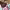 https://res.cloudinary.com/billionhands/image/upload/v1770831112/items/ceywcedkkg08mw5e5sht.jpg-3cover