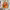 https://res.cloudinary.com/billionhands/image/upload/v1770831133/items/fh8ff7rsyno2rrhjuaiw.jpg-2cover