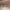 https://res.cloudinary.com/billionhands/image/upload/v1770831151/items/irg0oi97imyuobissnoj.webp-0cover