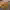 https://res.cloudinary.com/billionhands/image/upload/v1770831166/items/afgdmwxgb2gvrnkph9g2.jpg-1cover