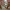 https://res.cloudinary.com/billionhands/image/upload/v1770831172/items/krnfsmdgsotbsirrwa0x.jpg-2cover