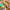 https://res.cloudinary.com/billionhands/image/upload/v1770831196/items/oeqpjojpvevwbfsk5gtq.webp-2cover