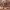 https://res.cloudinary.com/billionhands/image/upload/v1770831240/items/rms9zbbnhzsrouqegqu5.jpg-3cover