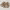https://res.cloudinary.com/billionhands/image/upload/v1770831261/items/c6kszk6gn1jshcg2bxno.jpg-2cover