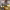 https://res.cloudinary.com/billionhands/image/upload/v1770831263/items/cxtohz4frxktgen9lauj.jpg-0cover