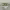 https://res.cloudinary.com/billionhands/image/upload/v1770831264/items/yn4wwrdwtgthkxg4ruo4.jpg-2cover